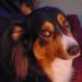 Profile Picture of John Thibodeau (@johnt1469) on Pinterest