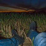 Profile Picture of Austin Walker (@austin.walker1994) on Flickr