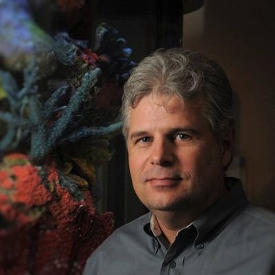 Profile Picture of Mat Roy (@FishTankKings) on Twitter
