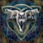 Profile Picture of Nicholas Frischman (@Nicholas-Frischman) on Facebook