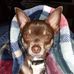 Profile Picture of Steve Clemmons (@steve.clemmons.986) on Facebook