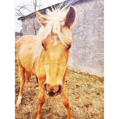 Profile Picture of Emily Schmidt (@emmie123schmidt) on Twitter