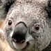 Profile Picture of Steven Beste (@beste0797) on Pinterest
