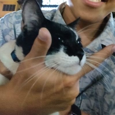 Profile Picture of Wong Wei Jung (@sifuwong_WJ) on Twitter