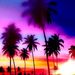 Profile Picture of A.M. Godby (@andrewmgodby) on Pinterest