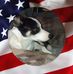 Profile Picture of Darrell Schmidt (@darrell.schmidt.731) on Facebook