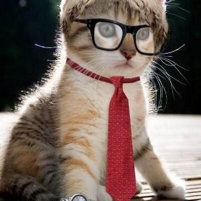 Profile Picture of Thomas Faure (@thomasfaure19) on Twitter