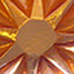 Profile Picture of Roberto Gretter (@gretterroberto) on Flickr