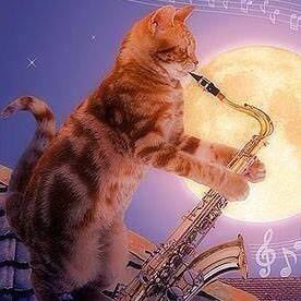 Samuel Hodge - Twitter Profile Picture of Samuel Hodge (@abad141070) on Twitter