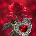 Profile Picture of Meron Michael (@Meron-Michael) on Facebook