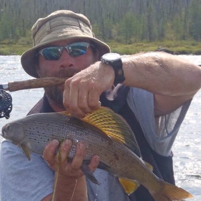 Profile Picture of Dave McSween (@McsweenDave) on Twitter