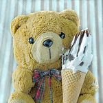 Profile Picture of Kleiner Eisbär (@thomas rausch (!)) on Flickr