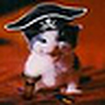 Profile Picture of Kim O'dell (struck) (@ktodell1996) on Flickr