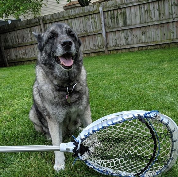 Profile Picture of Jordan Hires (@laxplayerz) on Poshmark