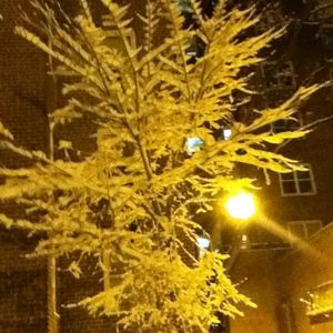 Profile Picture of Are Lis (@dreams2927) on Myspace