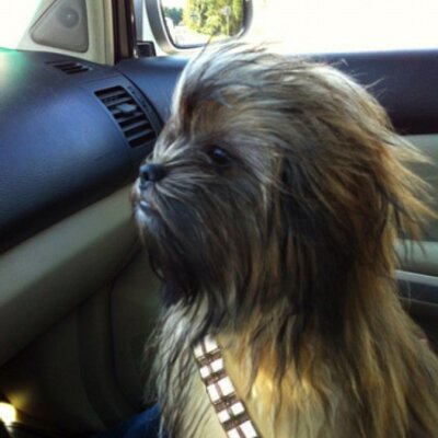 Profile Picture of Julian Swartz (@JulianSwartz) on Twitter