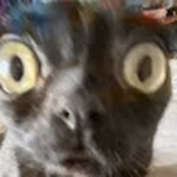 Profile Picture of Lucia Fuentes (@lucia-fuentes-20) on Quora