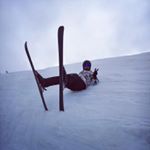 Profile Picture of Peter K. (@randy_spengler) on Instagram