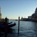 Damian Marcos Levy - Instagram Profile Picture of Damian Marcos Levy (@damilevy90) on Instagram