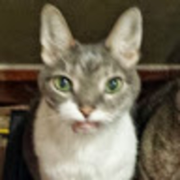 Profile Picture of Myrna Juarez (@myrna_juarez) on Poshmark