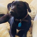 Profile Picture of Jeff Ketchum (@jeff.ketchum1) on Instagram