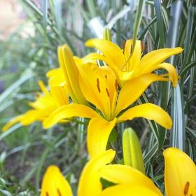 Sarah Rutman - Pinterest Profile Picture of Sarah Rutman (@rutman) on Pinterest