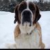 Profile Picture of Shawn Mousaw (@shawn.mousaw) on Facebook