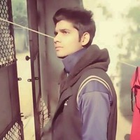 Profile Picture of David Lion (@david-lion-11) on Quora