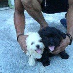 Profile Picture of Mirna Juarez (@myrnajuarez) on Instagram