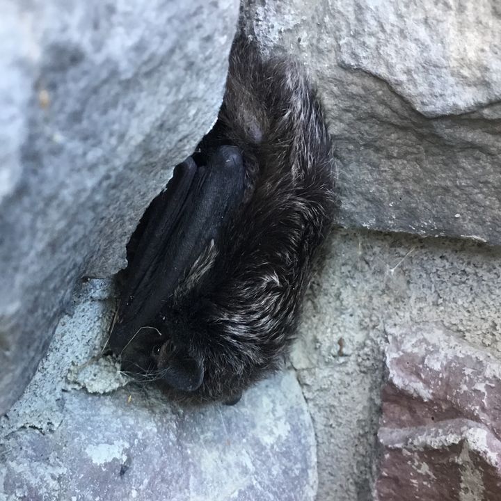 Profile Picture of super_sis_4nd_br0_v2 (@lathanvgordon) on Tiktok