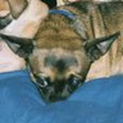 Profile Picture of Paula Powell (@Bteammom1997) on Youtube