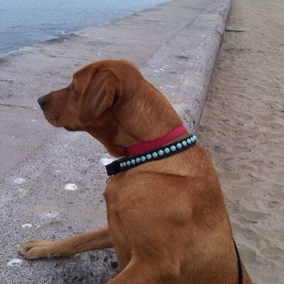 Corey Myer - Twitter Profile Picture of Corey Myer (@marlin550) on Twitter