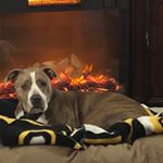 Profile Picture of Keith Deschenes (@supervisorkeith) on Instagram