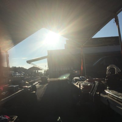 Profile Picture of Cirel (@CirelliNancy) on Twitter