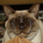 Profile Picture of Wade_aj (@wade_aj) on Flickr