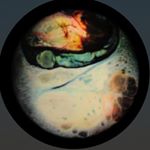 Profile Picture of Travis Heinrich (@professional_help) on Instagram