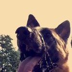 Profile Picture of Matthew Hesketh (@MHesketh12) on Twitter