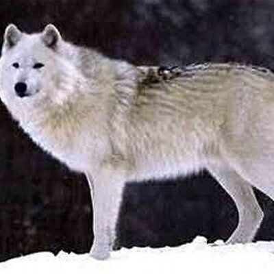 Noah Robbins - Twitter Profile Picture of Noah Robbins (@noahrobbins16) on Twitter