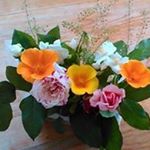 Profile Picture of Yvette Rodrigues (@rodriguesyvette) on Instagram