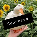 Profile Picture of William Herondale Enthusiast (@never_trust_a_duckk) on Instagram