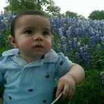 Trey Vaughn - Instagram Profile Picture of Trey Vaughn (@trey.vaughn) on Instagram