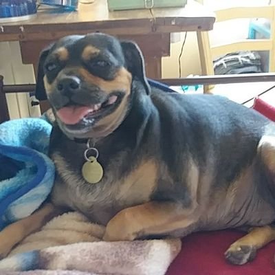 Profile Picture of Eileen Simpson (@withhope20101) on Twitter