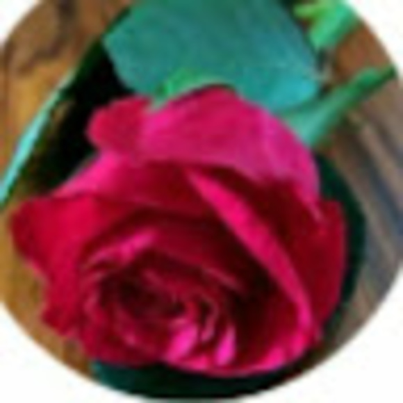 Profile Picture of Nanis Gregoriana. (@nanis_g) on Poshmark