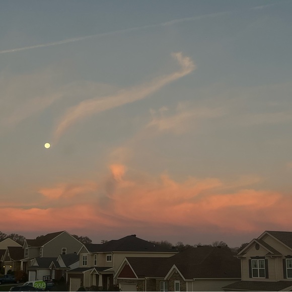 Profile Picture of Isabelle Niekamp (@isabelleniekamp) on Poshmark