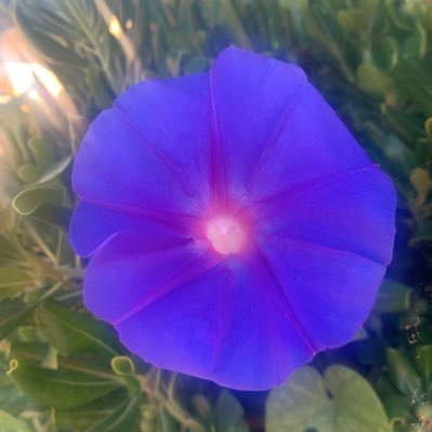 Profile Picture of Jo Willoughby (@Jowilloughby3) on Twitter