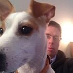 Profile Picture of David Colville (@davidcolville) on Instagram