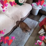 Profile Picture of Shirley Mullins (@Shirley-Mullins) on Facebook