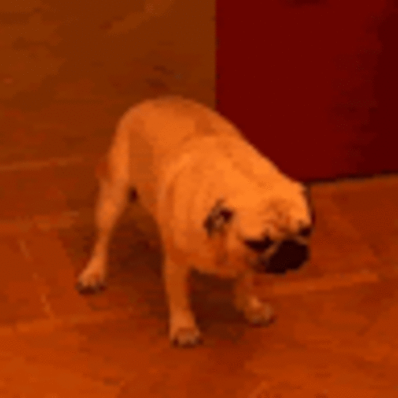 Profile Picture of Delinee L (@dsnakette) on Poshmark