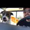 Profile Picture of James Curtis Jr (@james.j.curtis.9) on Facebook