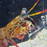 Profile Picture of Hugo Jauregui (@74jauregui) on Instagram